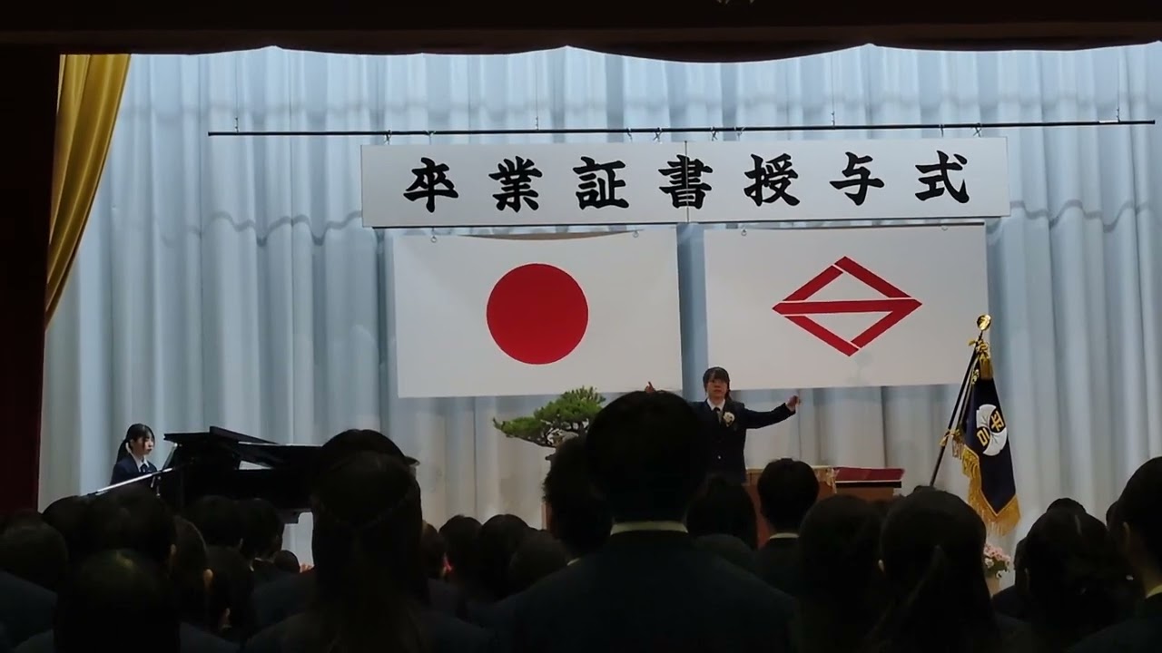 2026年3月11日