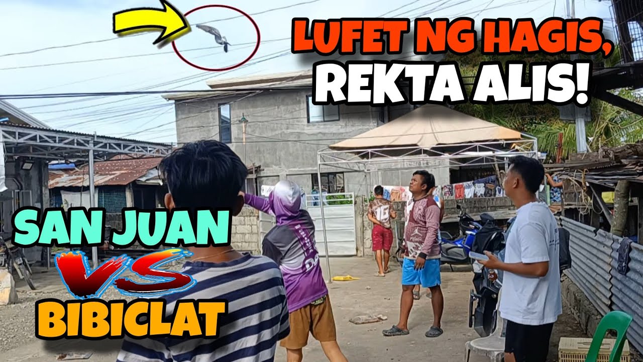 TOTOY NG BIBICLAT VS RENCY NG SAN JUAN | BANGAAN NG MATITIBAY SA ALIAGA! | KARERA NG KALAPATI
