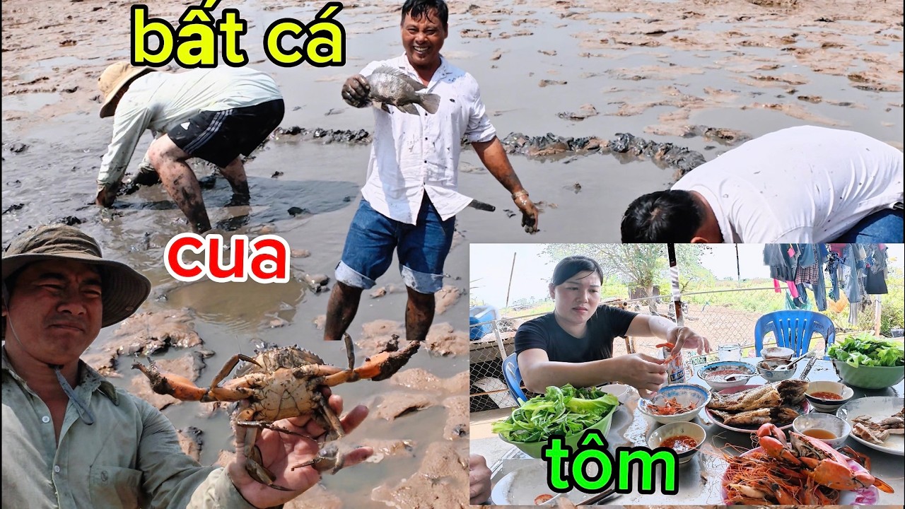 tát ao bất cá ao vuông tôm cua cá thích quá / bạc liêu