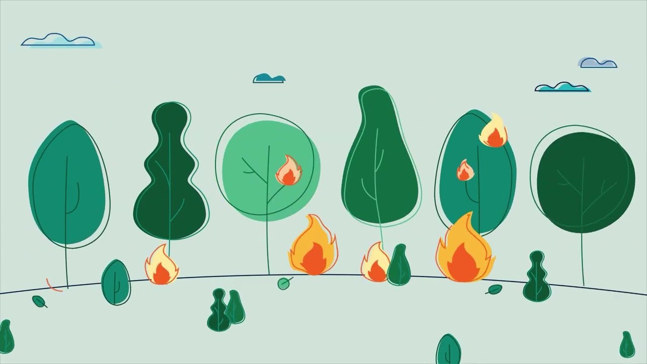 🔥Los incendios Forestales en zonas de interfaz urbanoforestal