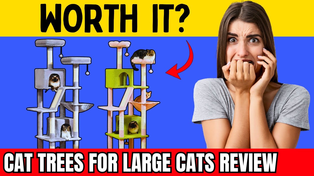 Cat Trees For Large Cats: The Best Tower for Big and Heavy Cats [Full Review]