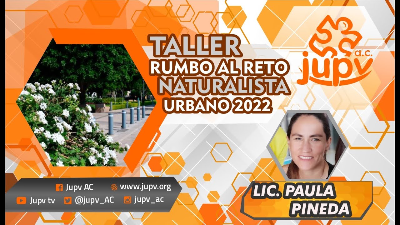 Taller rumbo al Reto Naturalista Urbano 2022