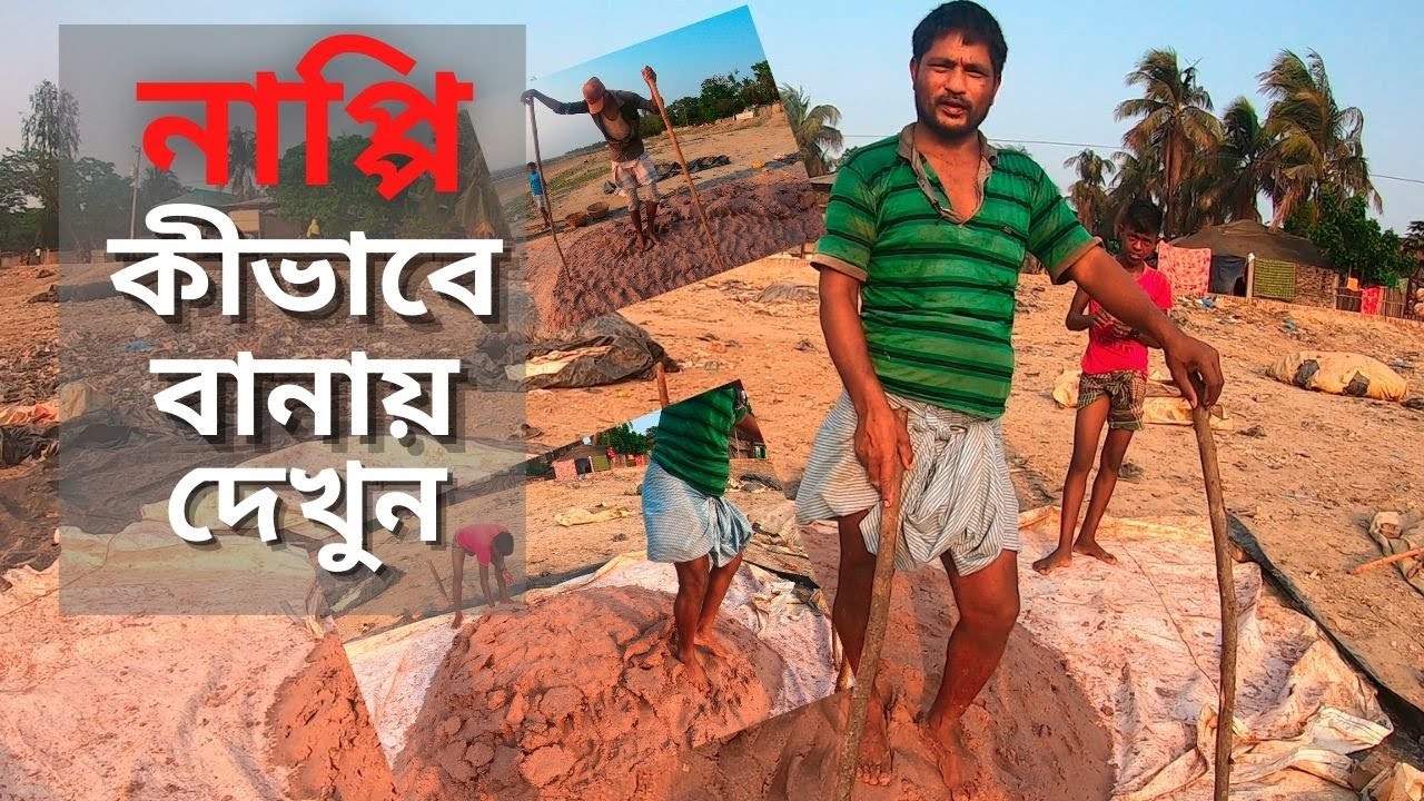 আদিবাসীদের জনপ্রিয় খাবার নাপ্পি অস্বাস্থ্যকর পরিবেবেশে কিভাবে বানায় দেখুন..