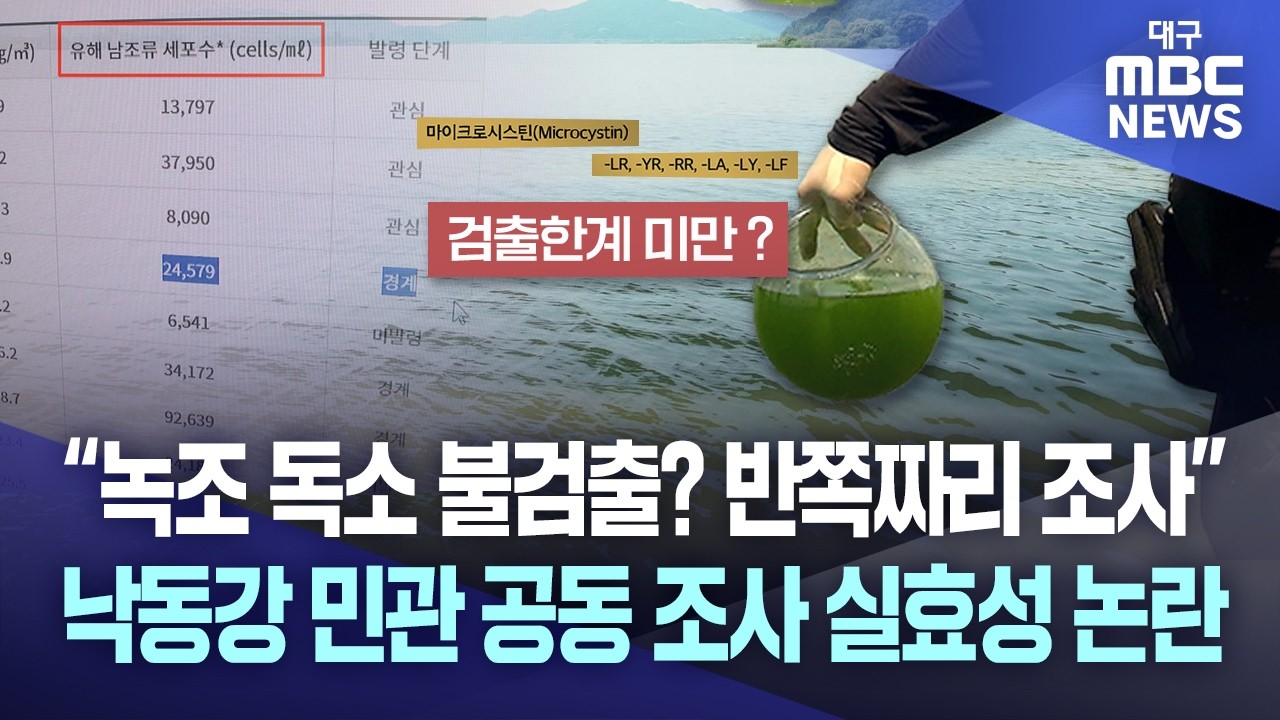“녹조 독소 불검출? 반쪽짜리 조사” 낙동강 민관 공동 조사 실효성 논란 | 대구MBC뉴스