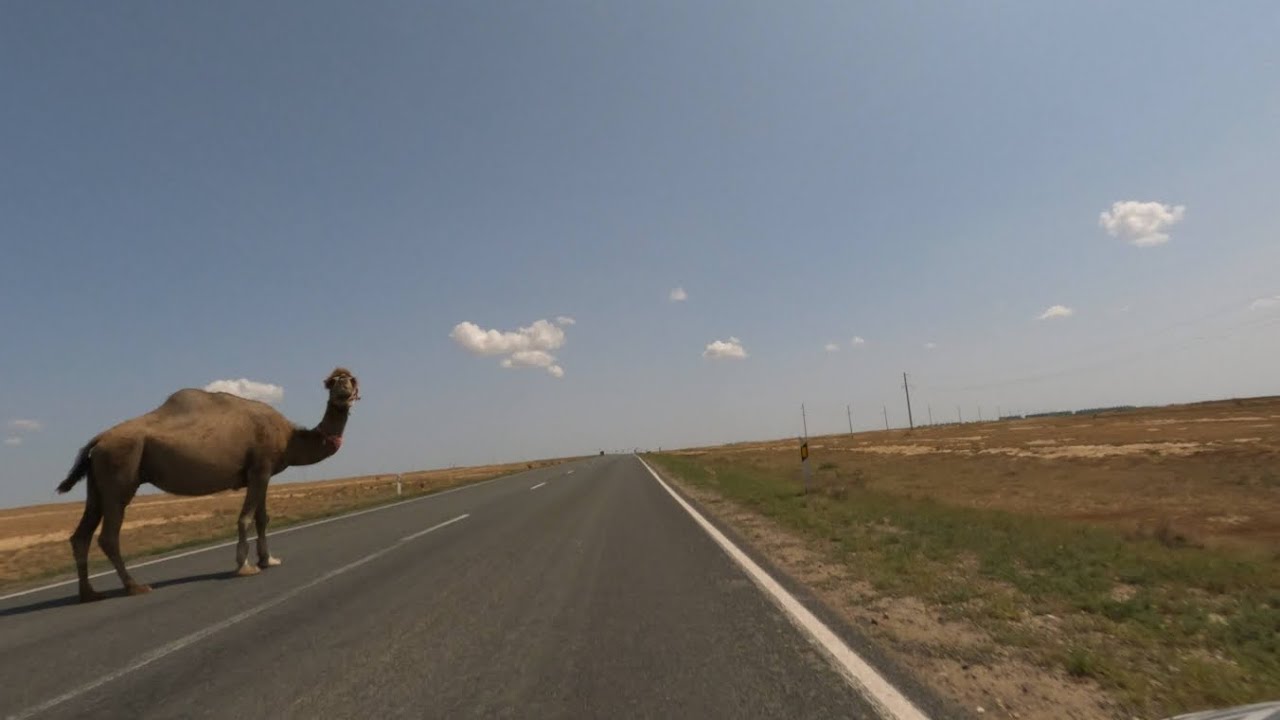 6-monatige Zentralasien Motorradtour. Teil 6: Kasachstan!