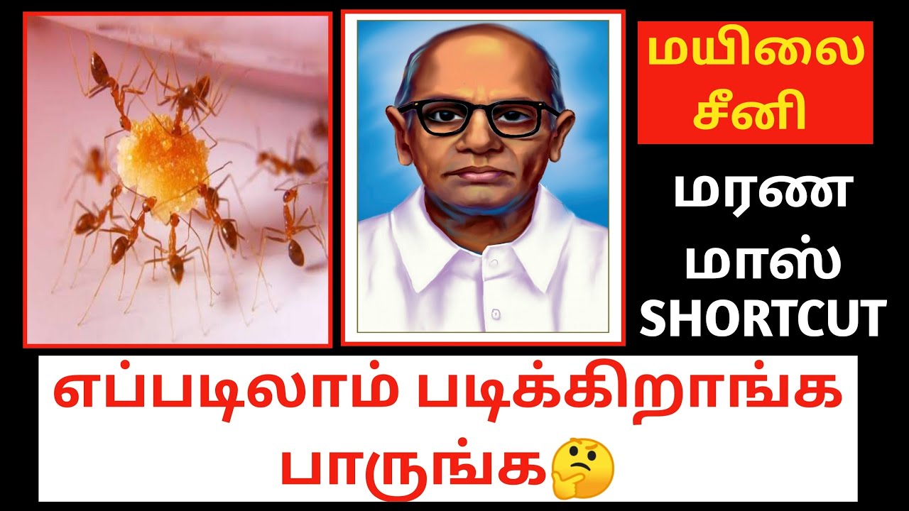🎯ஒரு எறும்பு🐜 வச்சி🥳ஒரு பாடத்தை முடிச்சிட்டியேப்பா🤩மயிலை சீனி வேங்கடசாமி💥மரண மாஸ் SHORTCUT🥳🤩💢😍💯