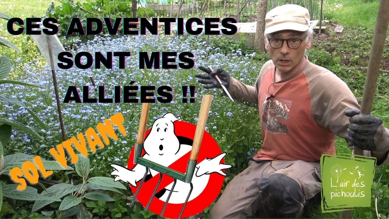 Un sol meuble sans effort grâce aux adventices !