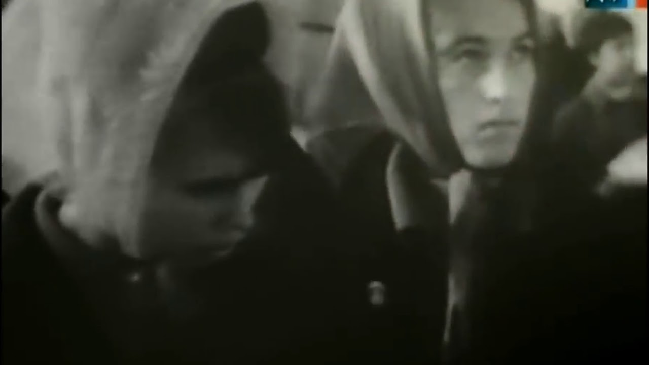 кинохроника гдр заз-966