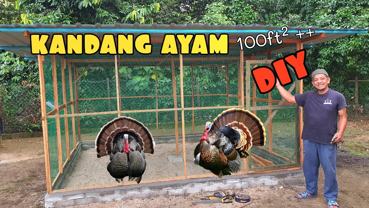 ✅️ KANDANG AYAM INI BAKAL HASILKAN RIBUAN RINGGIT || BUAT SENDIRI MUDAH SAHAJA