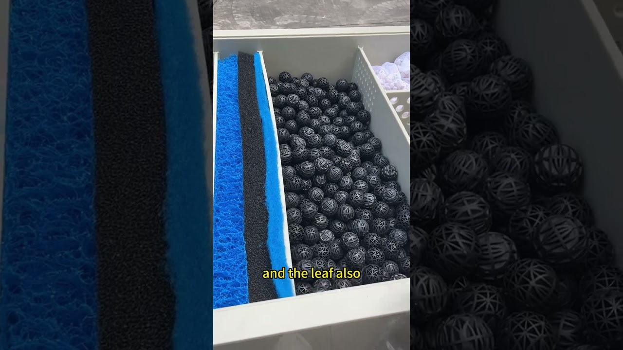 Filter System to Solve Your Koi Pond Water Problem