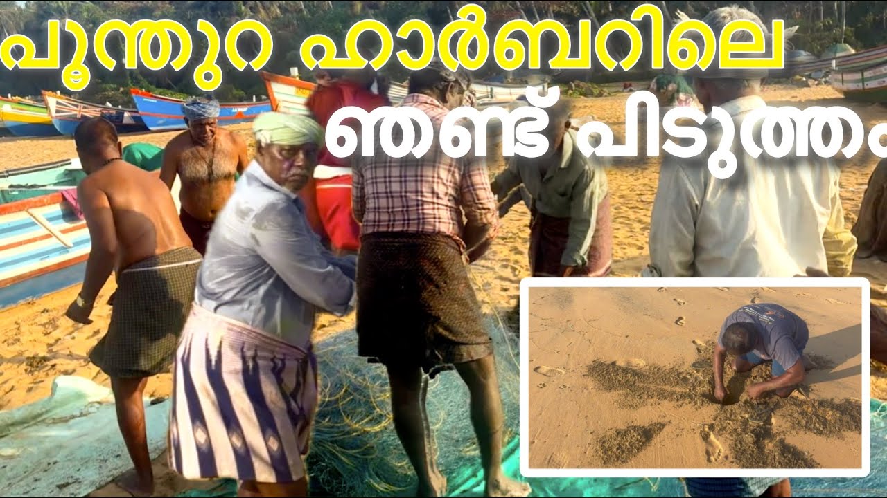 ഞണ്ട് പിടിക്കുന്ന കാഴ്ച്ച 🐟