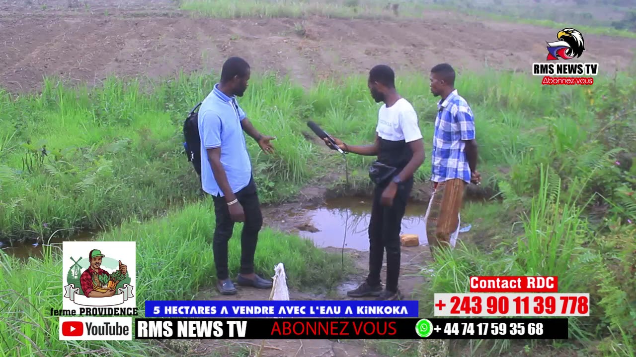 5 hectares a vendre a 300 m de macadame a kinkoka au kongo centrale bon prix