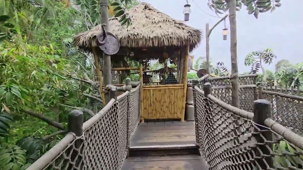 Adventureland Tree House | Disneyland