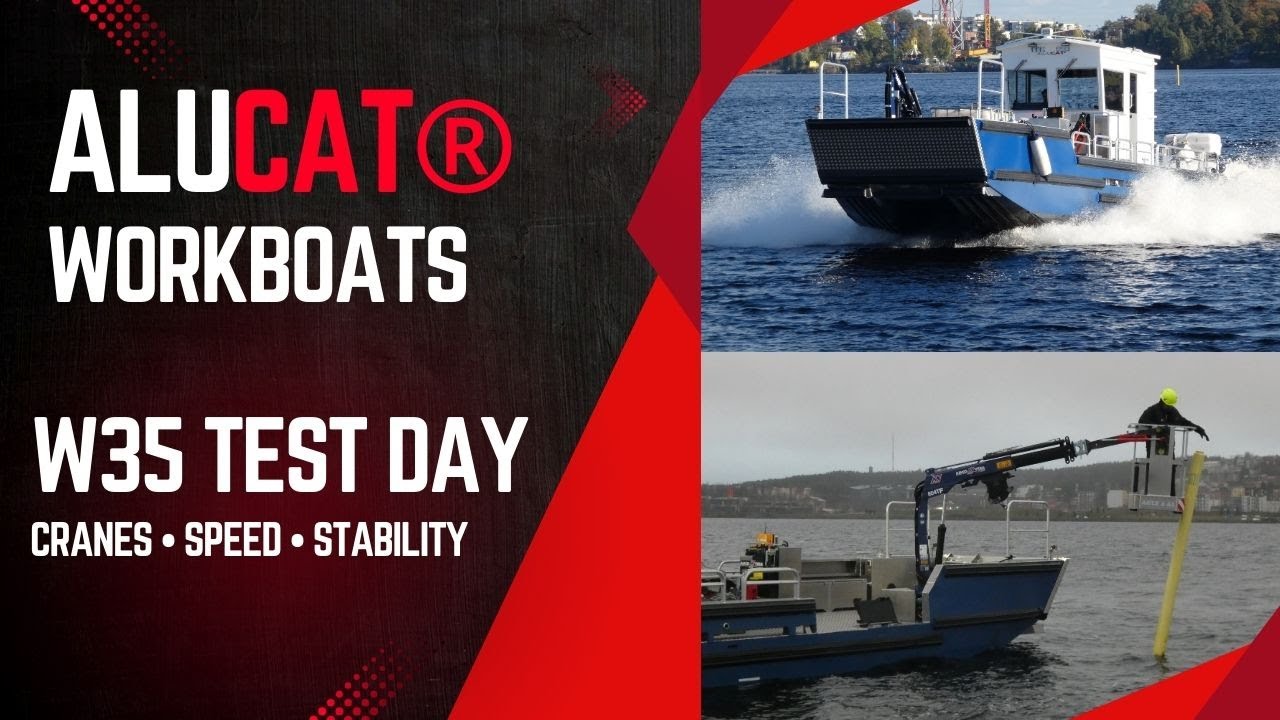ALUCAT W35 Special Focus: Performance Test & Feature Showcase