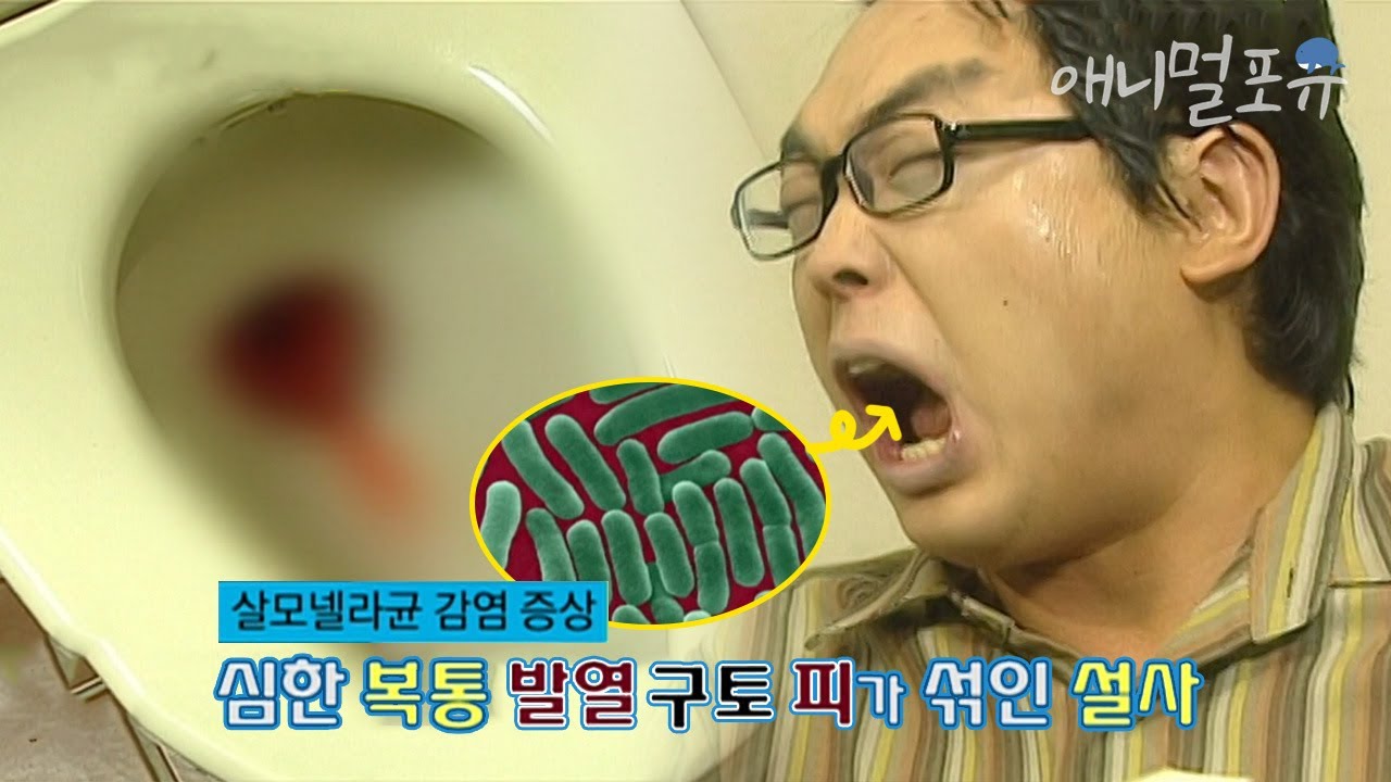 음식 한 번 잘 못 먹었다가.. 날벼락ㄷㄷ 한 남성의 황당한 식중독 감염은 다름 아닌  이 행동 때문?!! 😦 | KBS 위기탈출 넘버원 100920 방송