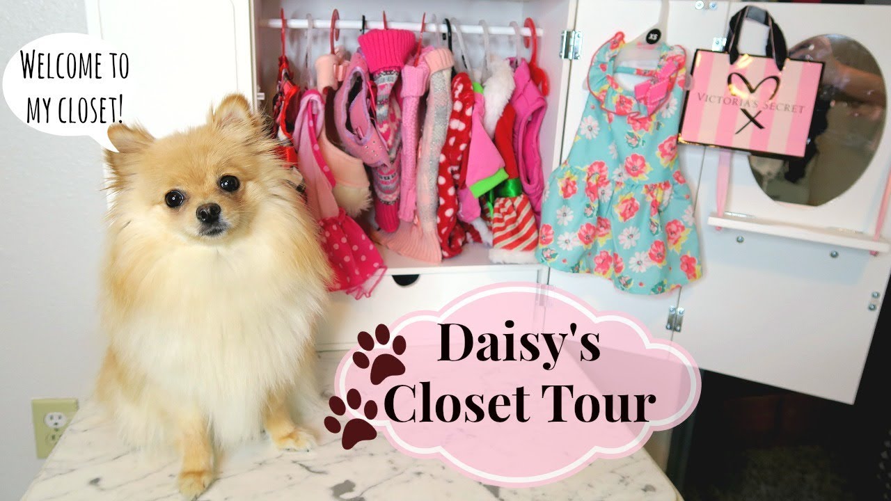 DOG CLOSET TOUR! Clothes & Accessories | 2018