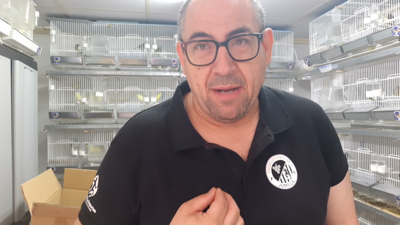 DIFERENTES PIENSOS A PRUEBA