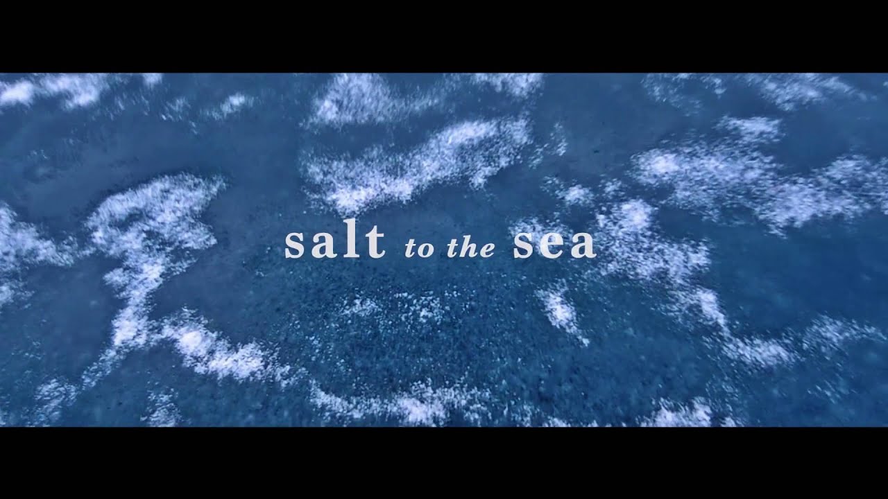Salt to the Sea // Book Trailer