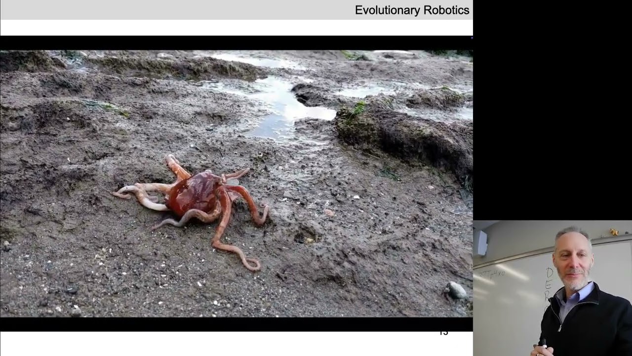 Lecture 13 of Evolutionary Robotics: Bipedal locomotion, Part I.