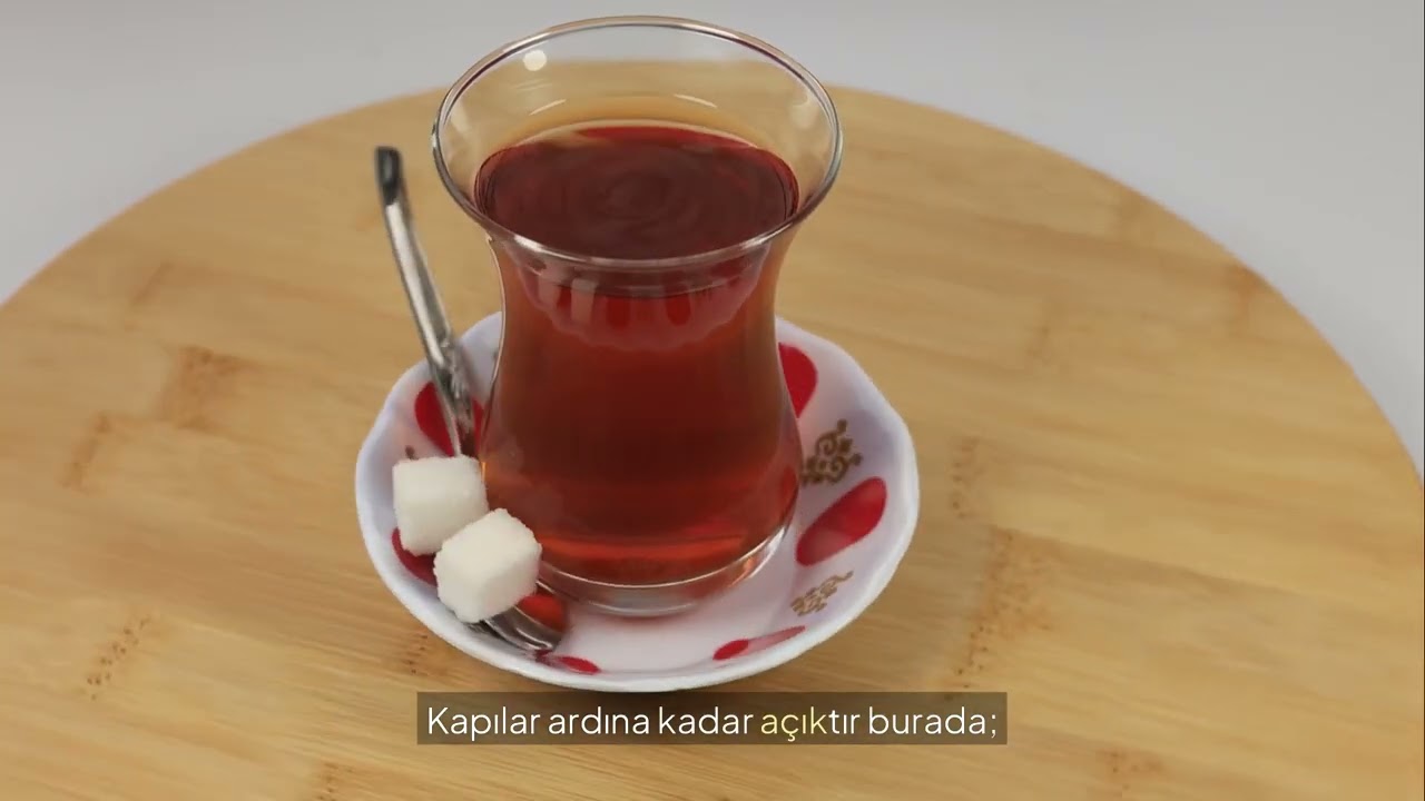 ADANA-ALADAĞ