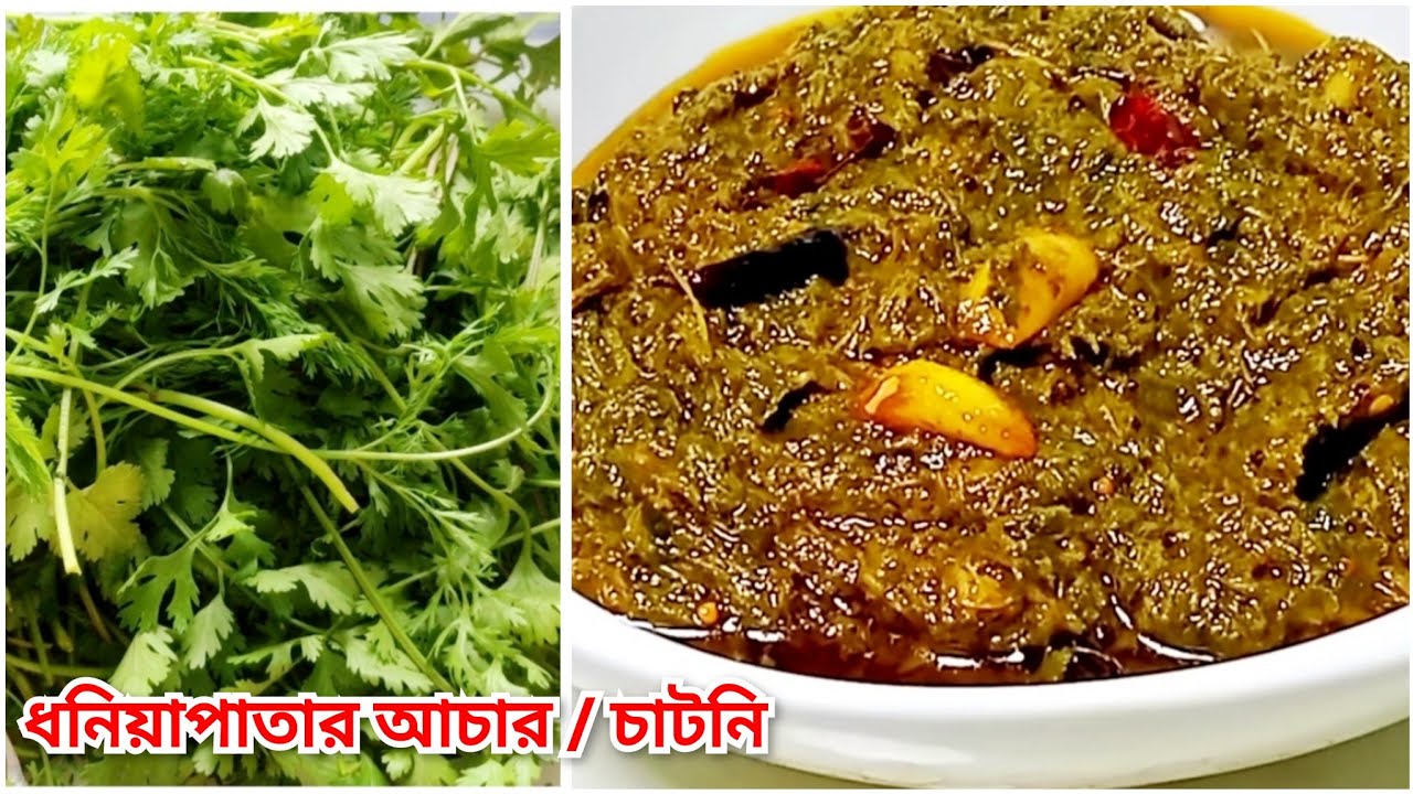 ধনিয়া পাতার আচার রেসিপি তৈরি করুন সারা বছরের জন্য | Dhoniya Patar Achar | Coriander Leaf Pickle