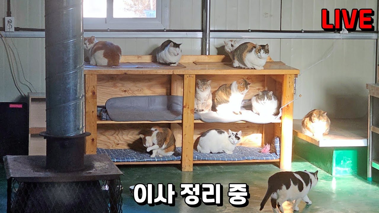 이사 정리 중, 불멍