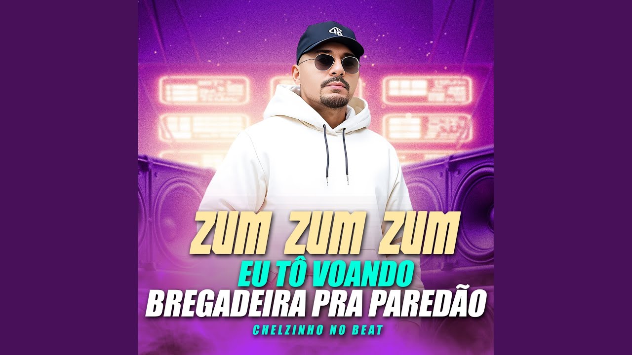 Zum Zum Zum Eu T&ocirc; Voando Bregadeira Pra Pared&atilde;o