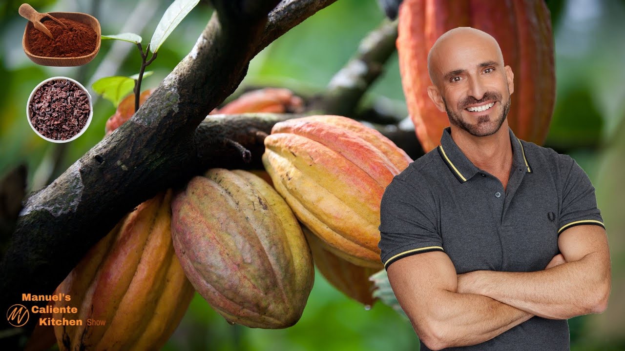 Peruvian Cacao: The Ultimate Cacao for Chocolate Lovers