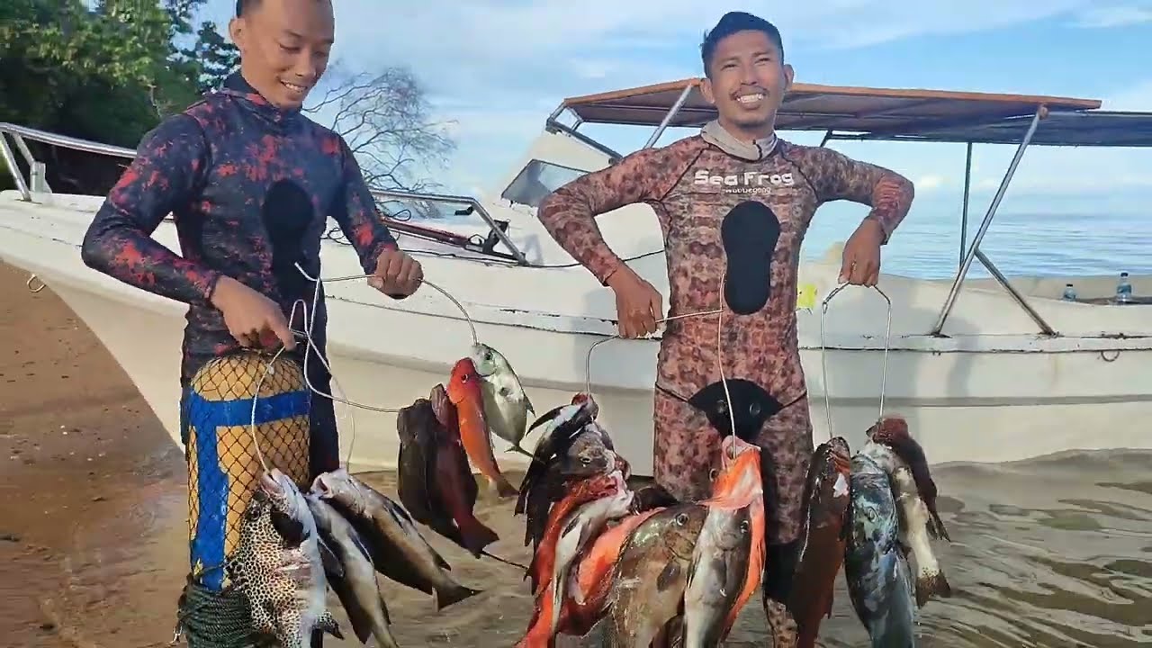 panen lobster pulau Tiga Papua barat,tengiri 30 kg berhasil naik #spearfishing indonesia#spearo