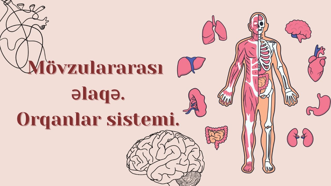 Toxumalar, Orqanlar və Orqanlar Sistemi | Mövzulararası Əlaqə | Biologiya Test Toplusu İzahı | DİM