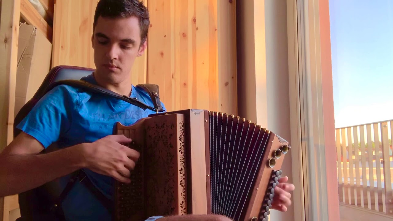 Junger Witwer - Steirische Harmonika