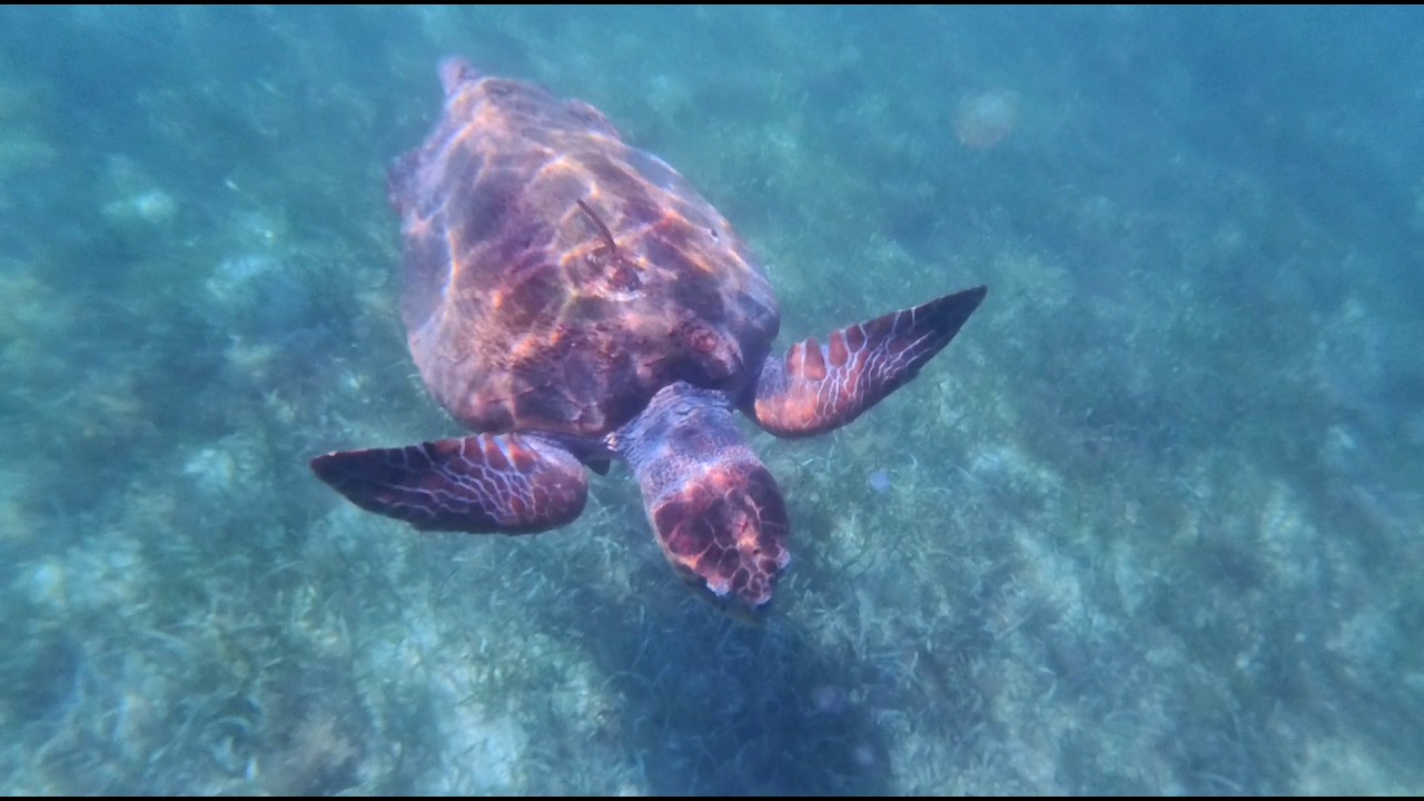 Exploring Belize