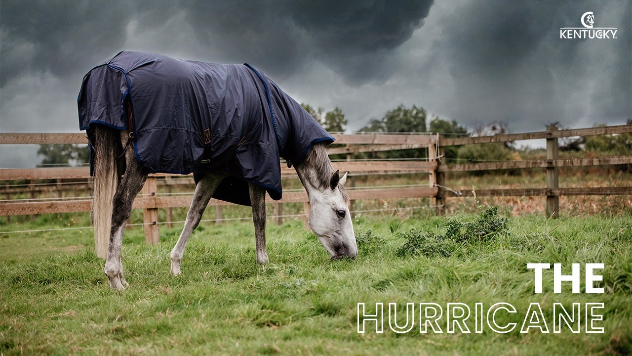 The Hurricane - Kentucky Horsewear