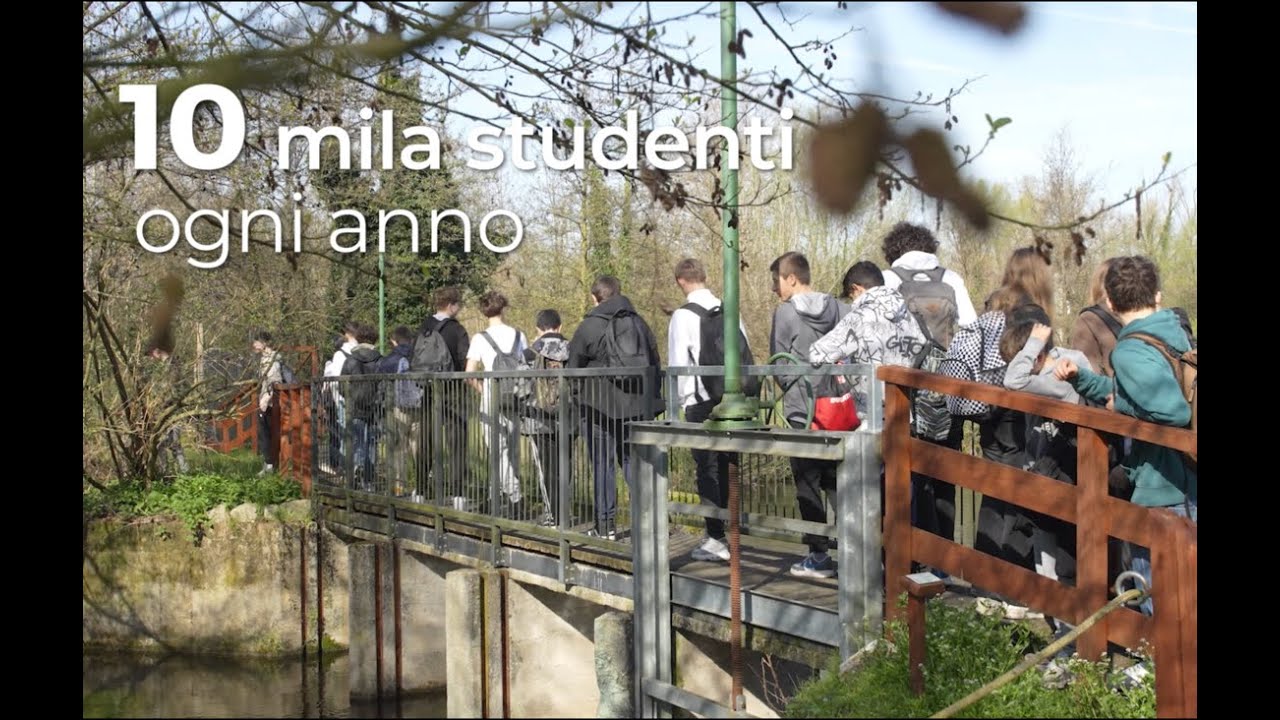 Le proposte educational di Viacqua