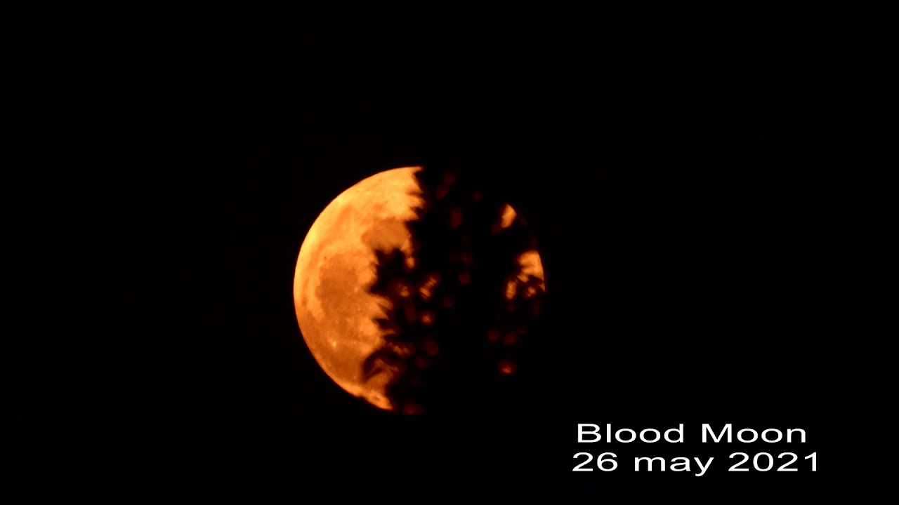 #viral  #shorts #video #bloodmoon #moon #nasa #bbcearth