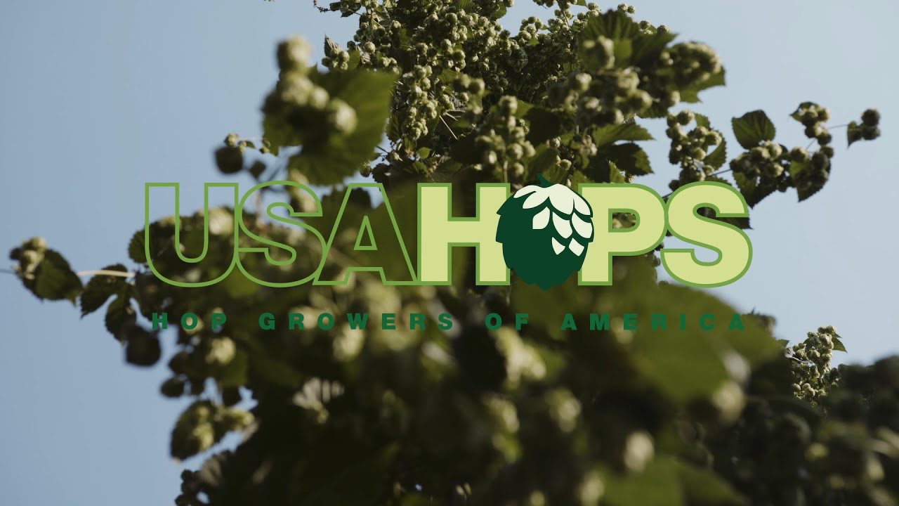 Innovations of USA Hops