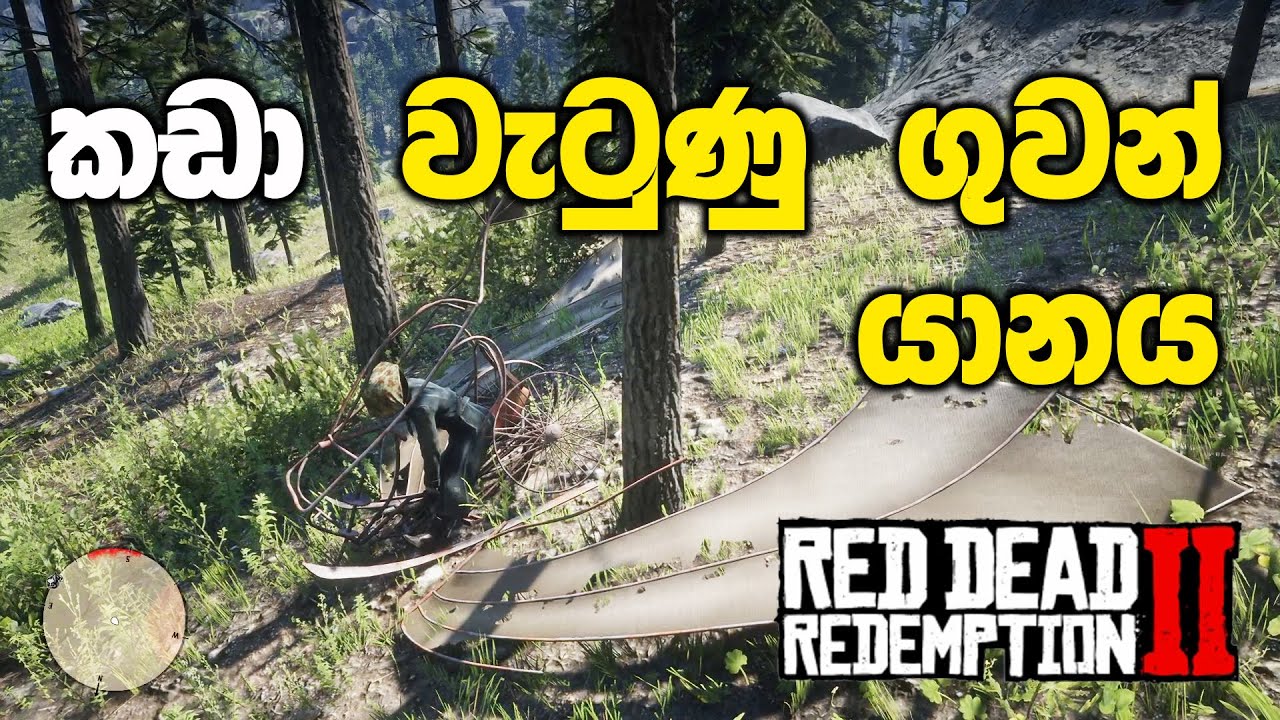 කඩා වැටුණු අභිරහස් ගුවන් යානයක් බලන්න යමුද | Red Dead Redemption 2 Sinhala Gameplay