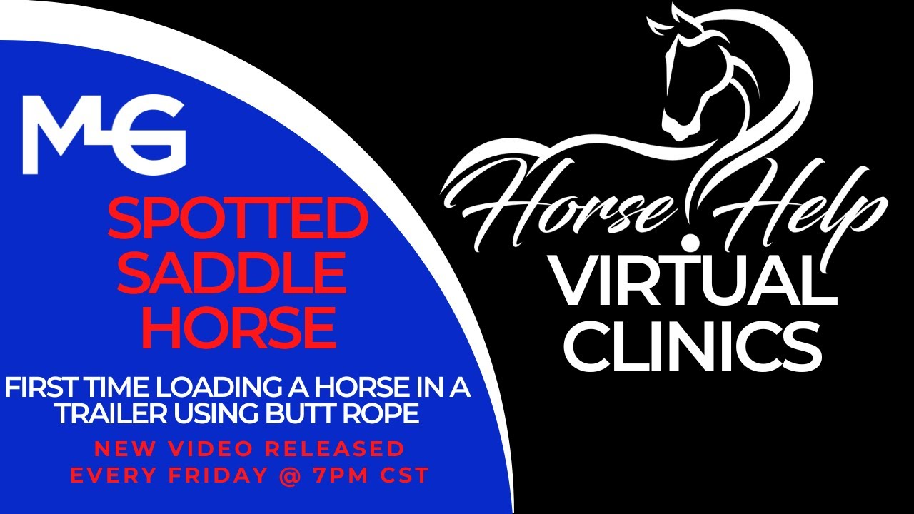 First Time Loading A Horse In A Trailer Using Butt Rope | The Horse Guru - Michael Gascon