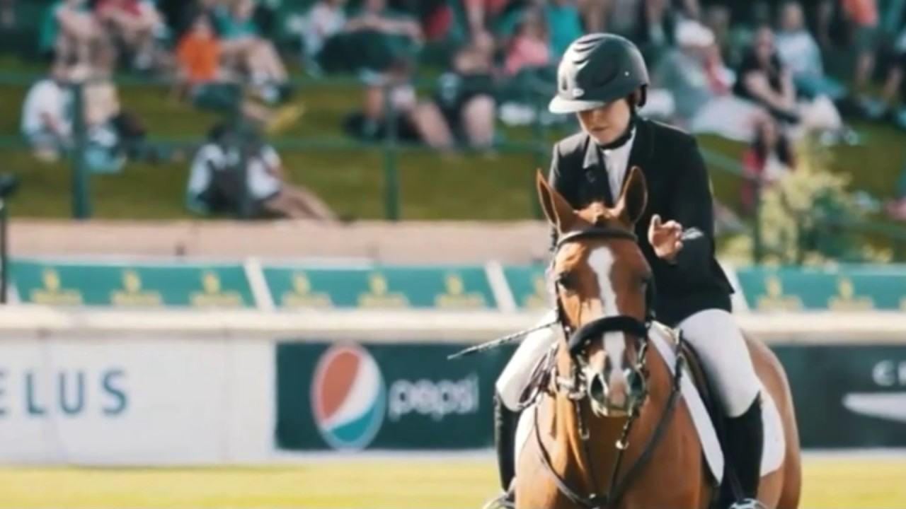 Turn Down For What? Showjumping Edit