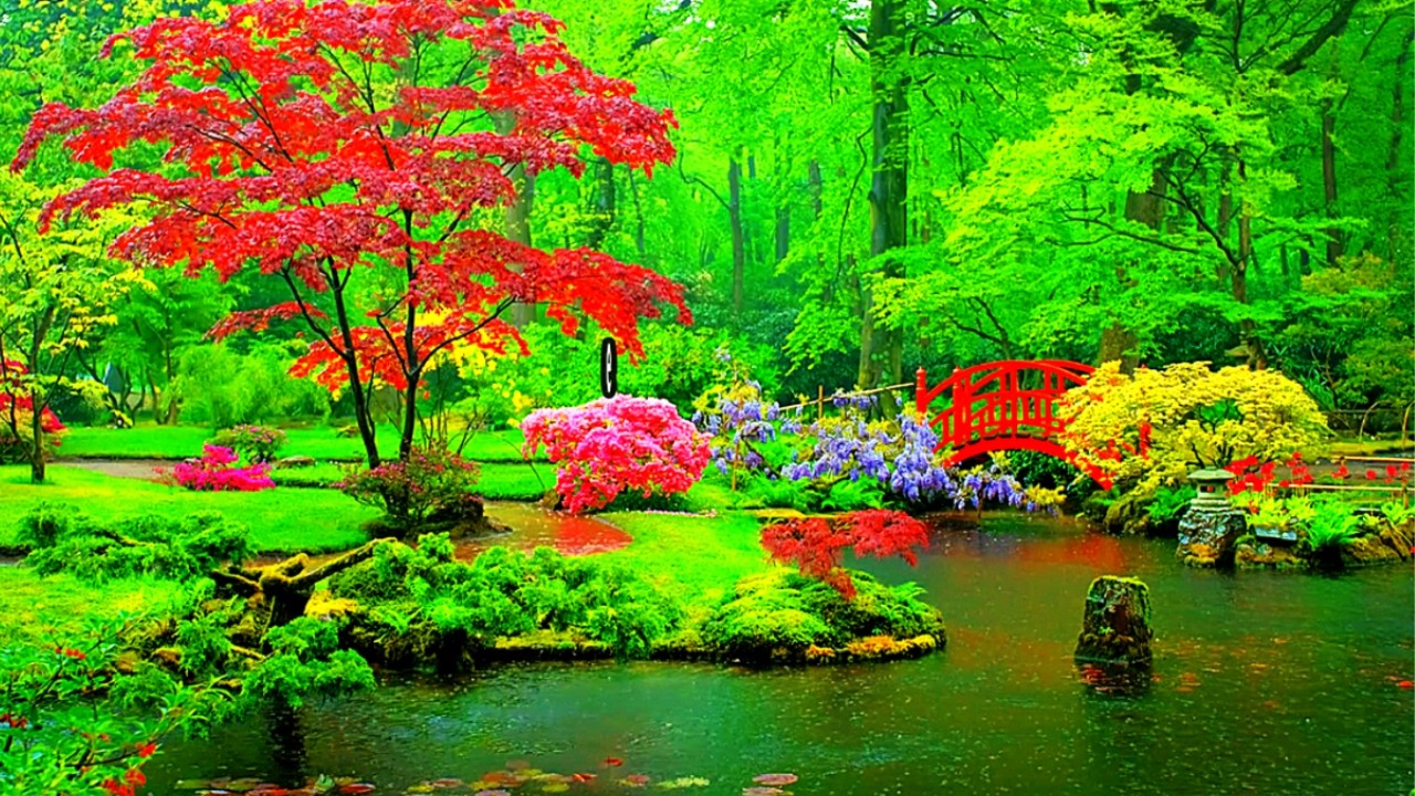 Japanese Garden Rain – Peaceful Ambience for Relaxation & Focus