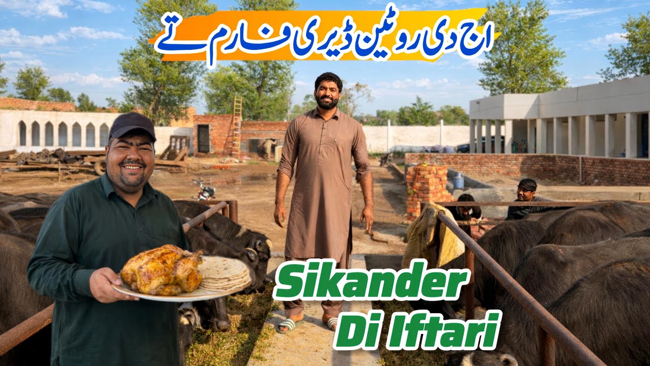 Barish To Bad Farm | Ajj di routine | Sikandar Di iftari | Nasir Dhillon 