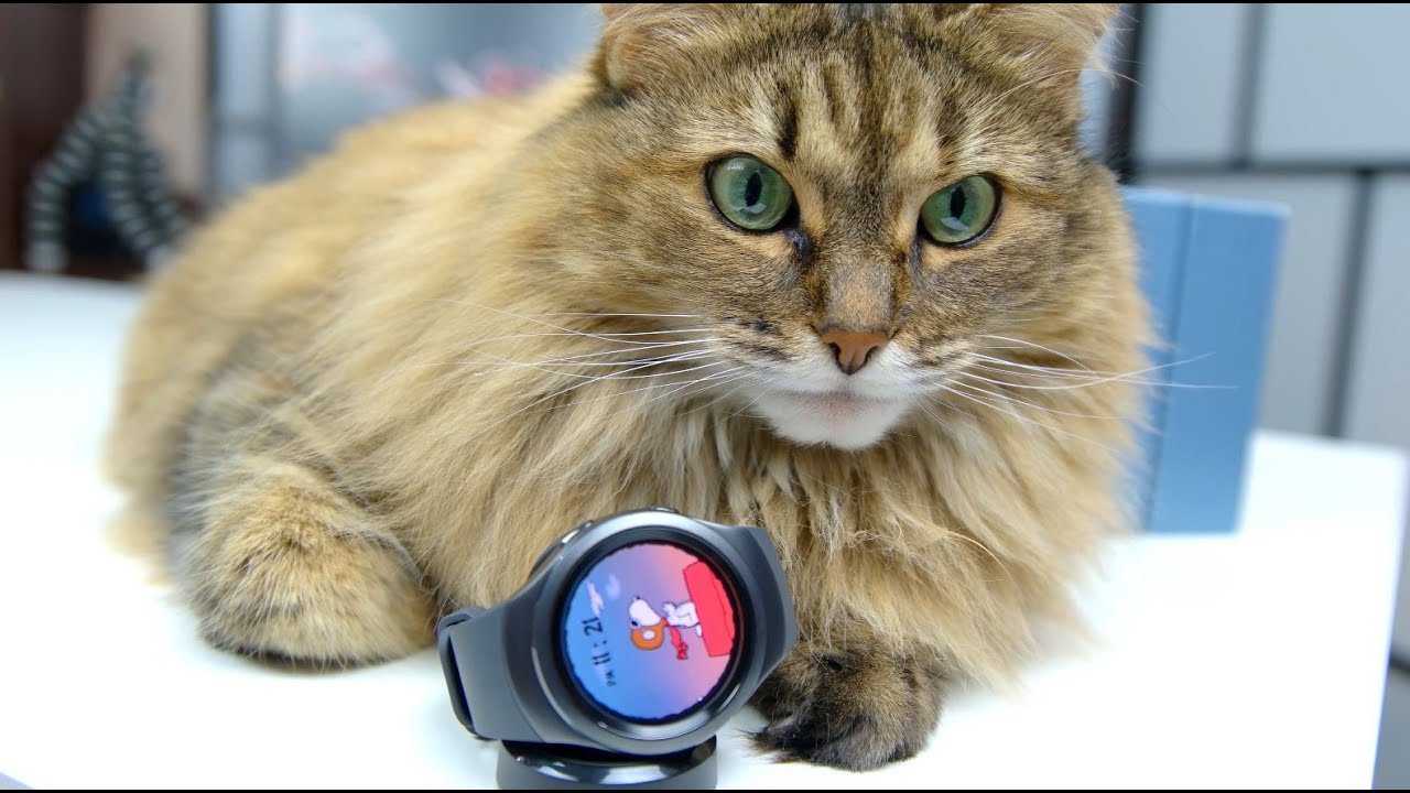 Samsung Gear S2 Review - A Smartwatch More Like A Watch