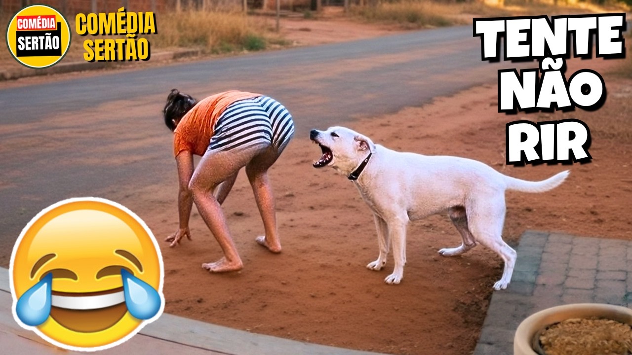 TENTE N&Atilde;O RIR: V&Iacute;DEOS ENGRA&Ccedil;ADOS 2026 E MEMES - #23