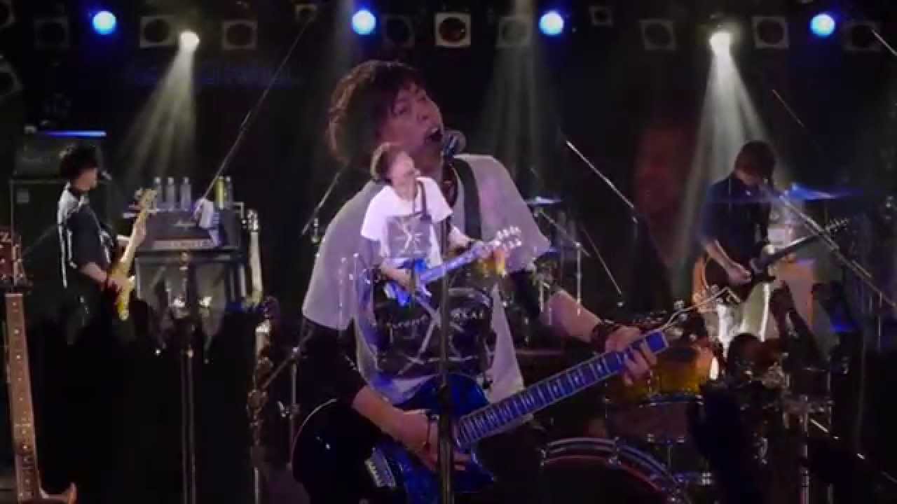 LASTGASP「Days」LIVE VIDEO【公式】