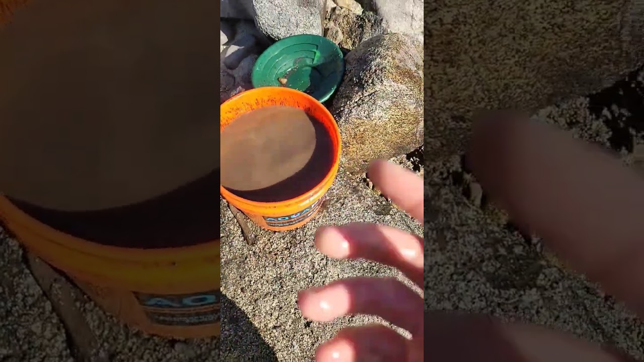 GOLD PROSPECTING FAILED ATTEMPT #goldpannning #gold #goldprospecting