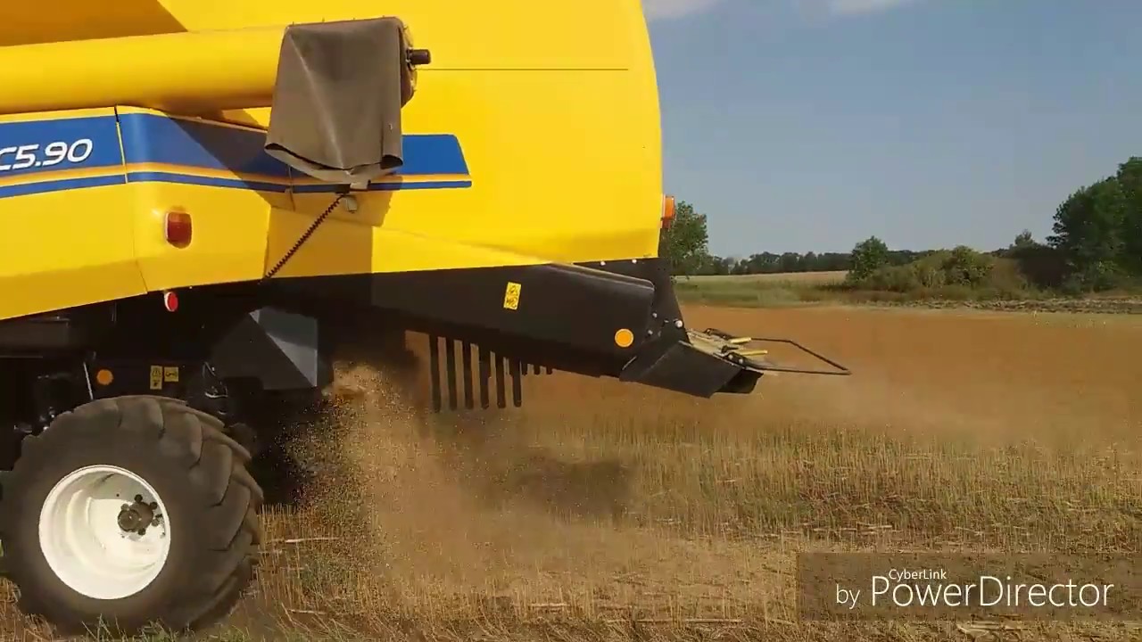 Уборка льна масляничного,без десикации комбайном New Holland TC5.90