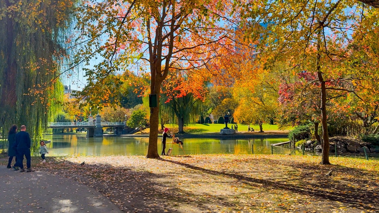 A Stunning Autumn Walk Through Boston Common 🍁 | 4K HDR
