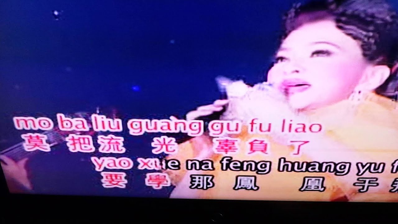 凤凰于飞 - 黄凤凤