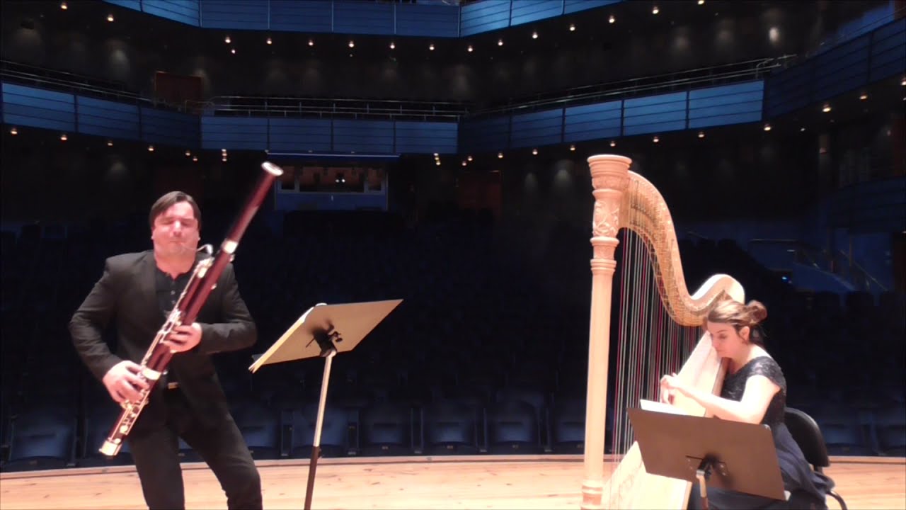 CHOPIN Nocturne No 20  for bassoon and harp .