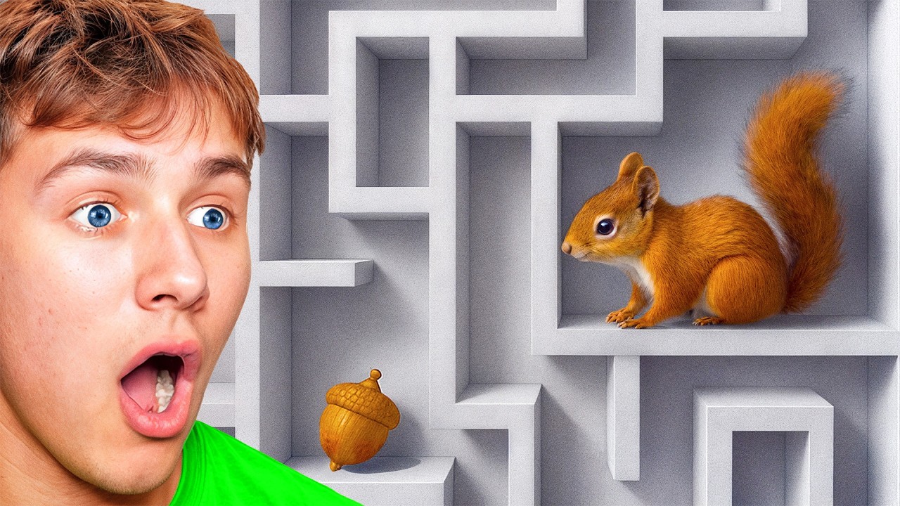 He Built a SQUIRREL MAZE in His BACKYARD